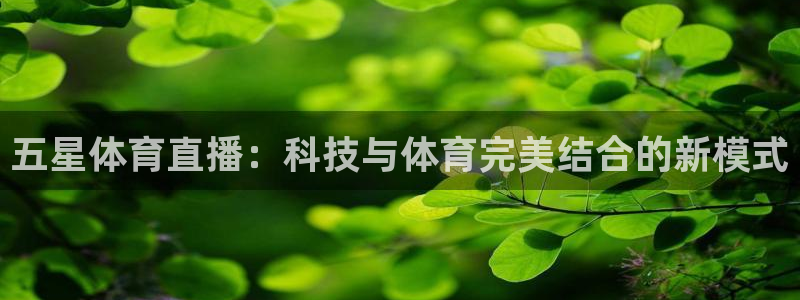五星体育直播：科技与体育完美结合的新模式