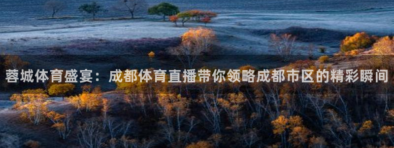 蓉城体育盛宴：成都体育直播带你领略成都市区的精彩瞬间